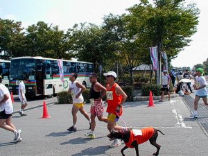 ���錢�H�L�}�b�e���I�I