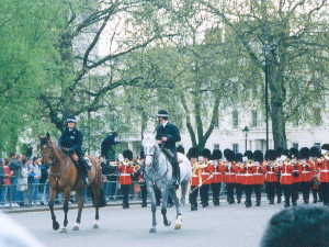 �o�b�L���K���̋߉q��