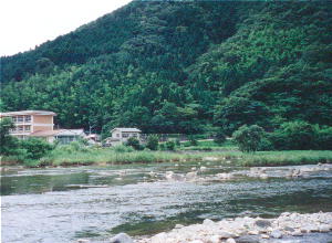 �I�V�h���ώ@��������